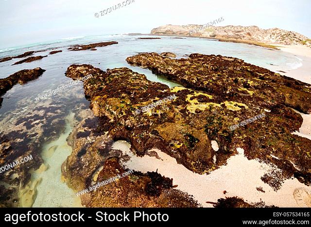 blur in south africa  sky ocean de hoop reserve nature and rocks
