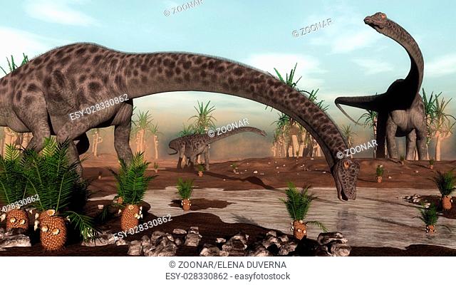 Diplodocus dinosaurs herd going to drink - 3D render