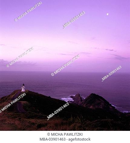 New Zealand, North island, Aupouri Peninsula, Cape Reinga, coast, lighthouse, lake, twilight