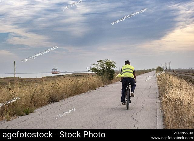 man riding a bicycle in the marsh of the Guadalquivir river, Trebujena, Seville, Andalucia, Spain