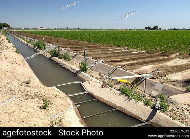 Kersey, Colorado - An irrigation ditch in eastern Colorado's Weld County. The area gets only 15 inches of rain per year, so water for irrigation is diverted...