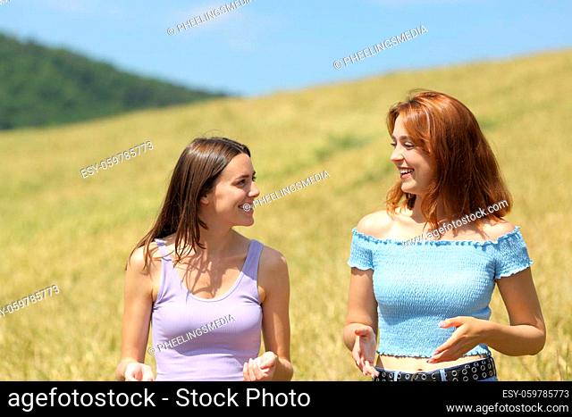 Two happy friends talking walking in a wheat field