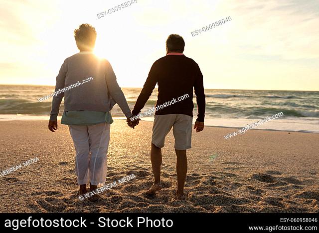 Rear view of multiracial senior couple holding hands walking on sand towards sea at beach