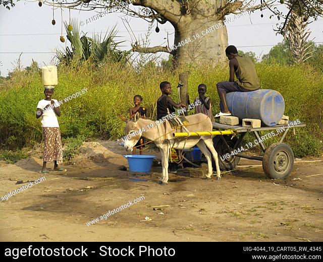 Children help fill water basins and barrel on donkey cart at village well near Kartong The Gambia