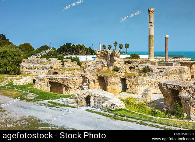 Roman ruins. Baths of Antoninus. Carthage. Tunisia, Africa