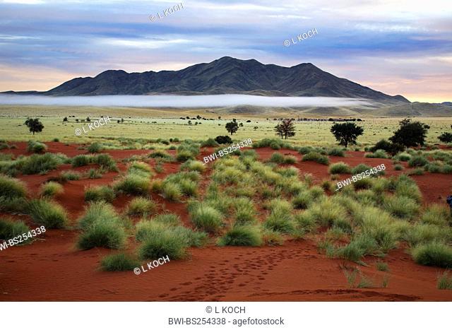 desert in the morning, Namibia, Namib Naukluft National Park