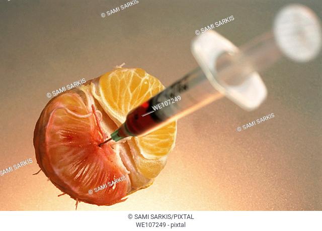 Syringe needle jabbed into a mandarin showing the possibility of genetically modified food