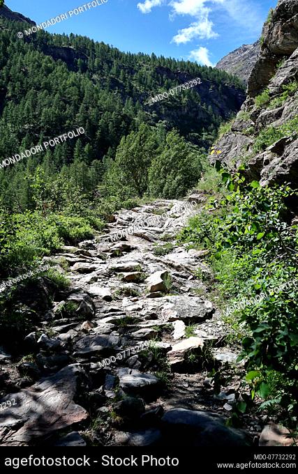 Path located in the Rhemes valley. The valley is dominated by the limestone massif of Granta Parey and is considered one of the most suggestive valleys of the...