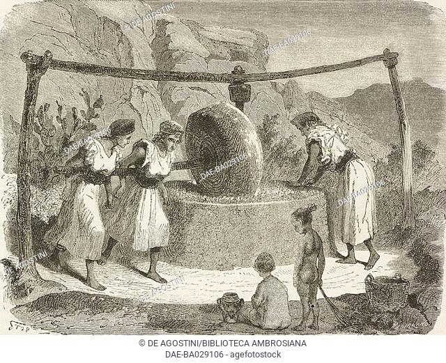 Grinding wheel for grinding the olives, Women's work, drawing by Stop (1825-1899) from a sketch by Duhousset, from Excursion in Great Kabylia