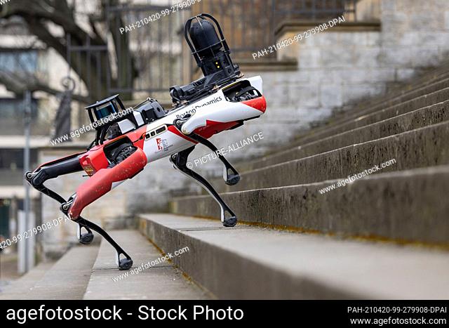 20 April 2021, Thuringia, Erfurt: Spot, a robot with dog-like movements, walks across the Domplatz. The security service provider Ciborius