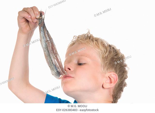 Little boy eating a herring. It is a Dutch tradition to eat a herring like this. In Holland they also call a herring a Maatje