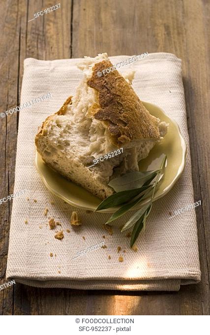 Pieces of white bread on plate with olive sprig
