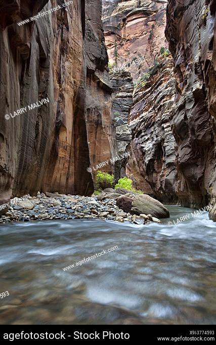 Vertical of rapids and boulder field in the Virgin River Narrows in Zion National Park, Utah