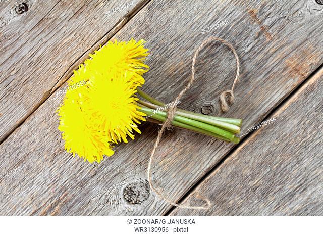 Dandelion tied with rope, top view