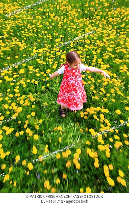 girl playing in field of Dandelions, Zuercher Oberland, Zuerich, Switzerland