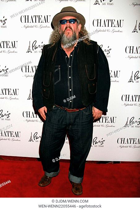 Mark Boone Junior hosts 'Sons Of Anarchy' party at Chateau Nightclub inside Paris Hotel & Casino Featuring: Mark Boone Junior Where: Las Vegas, Nevada
