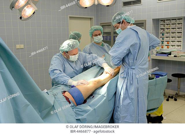 Medical team during operation, pulling varicose veins, vascular surgery, Düsseldorf, North Rhine-Westphalia, Germany