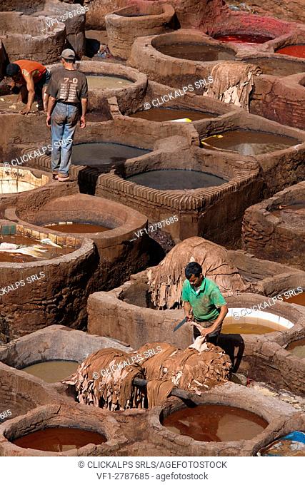 North Africa, Morocco, Fes district, Fez Tannery, Chouara Tannery. Leather processing