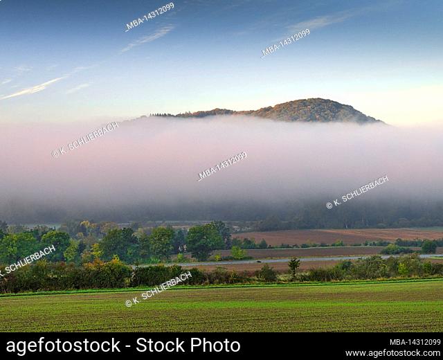 Europe, Germany, Hesse, Marburger Land, moving autumn fog in the Lahnauen near Kernbach