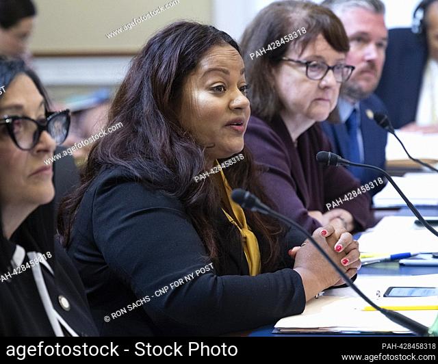 Jaime Williams, Assemblymember (D-59th District), New York State Assembly, Brooklyn, New York testifies before the United States House Committee on Natural...