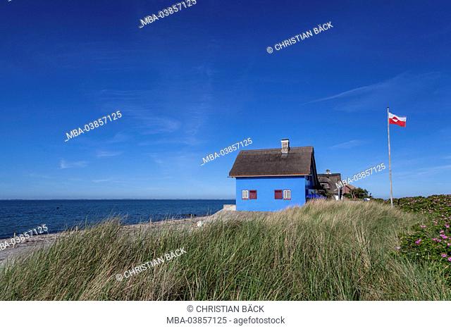 Houses in the dunes by the sea, Graswarder, Heiligenhafen, Holstein, Ostholstein, Schleswig - Holstein, Germany
