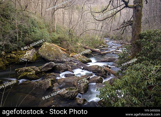 Cullasaja River Gorge near Scadin Falls - Highlands, Nantahala National Forest, North Carolina, USA