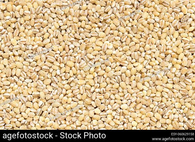 top view of dried peeled pearl barley seed