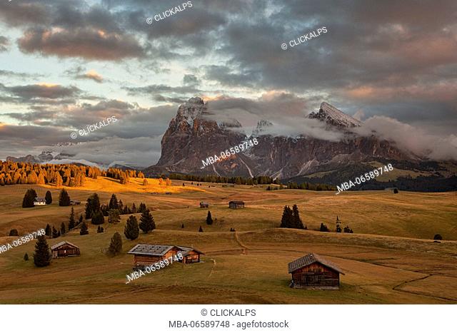 Alpe di Siusi/Seiser Alm, Dolomites, Kastelruth, South Tyrol, Italy