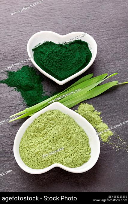 Healthy chlorella powder and barley grass from top view. Superfood concept. Wheatgrass. Green nutritional supplement detox