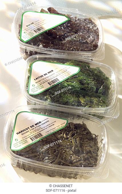 seaweed in plastic cartons