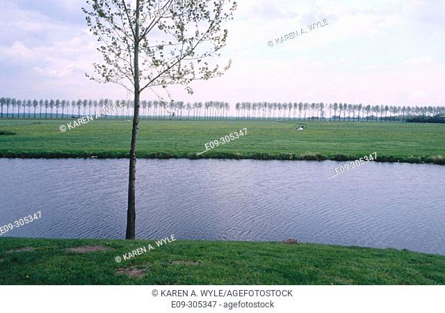 Irrigation canal with grassy banks lined with trees on far bank, single tree on near bank, Elburg, the Netherlands