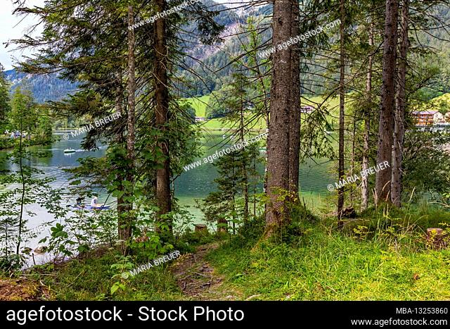 Hintersee, Ramsau, Berchtesgaden, Berchtesgaden Alps, Berchtesgaden National Park, Berchtesgadener Land, Upper Bavaria, Bavaria, Germany, Europe