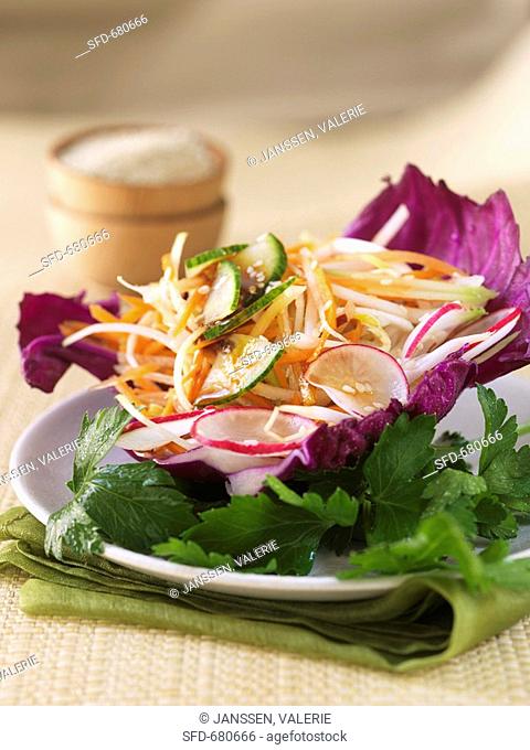 Carrot, radish & cucumber salad in a red cabbage leaf