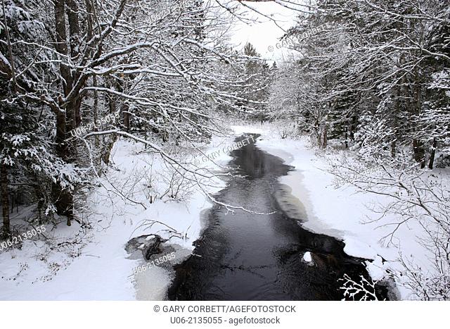 A brook with snow and ice on the trees in the winter season in Canada