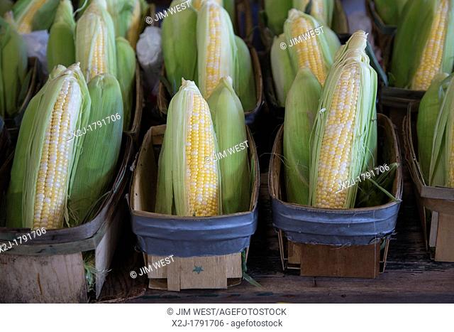 Detroit, Michigan - Corn on sale at Eastern Market, a large farmers market near downtown Detroit  The Eastern Market Historic District is the largest historic...