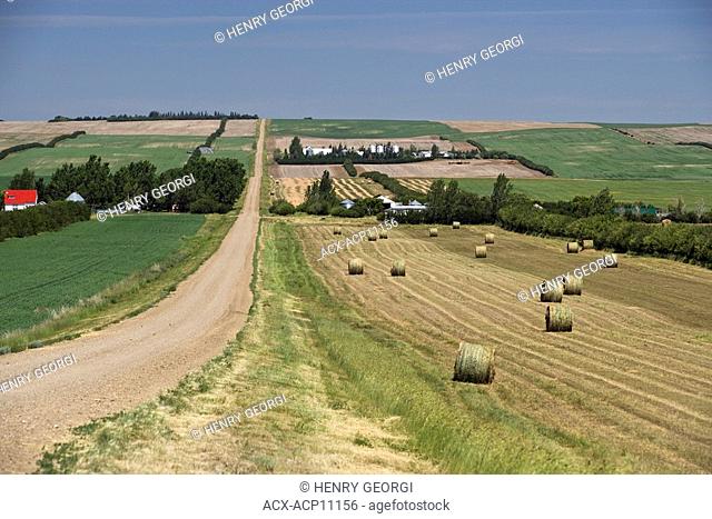 Farmland along the Redcoat Trail near Admiral, Saskatchewan, Canada
