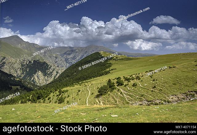 Pyrenees Orientales view in summer. Fontalba mountain pass seen from the Fontalba source (Ripollès, Catalonia, Spain, Pyrenees)