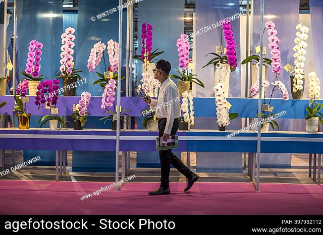 A man looks at flowers during Taiwan International Orchid Show in Tainan city, Taiwan on 03/03/2023 One in six orchid flowers sold worldwide comes from Taiwan