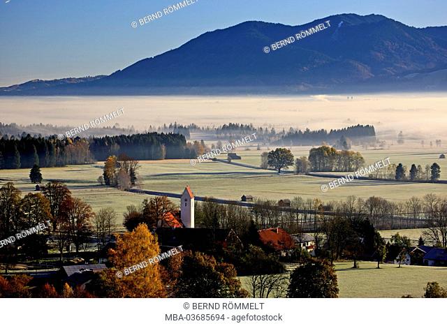 Germany, Bavaria, Upper Bavaria, Pfaffenwinkel, Blaues Land (region), Kochel moss, Kochelmoor, Kochler Moore, Zell, Bavarian Alpine foothills