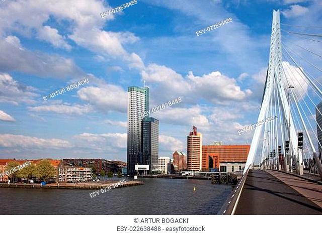 City of Rotterdam from Erasmus Bridge