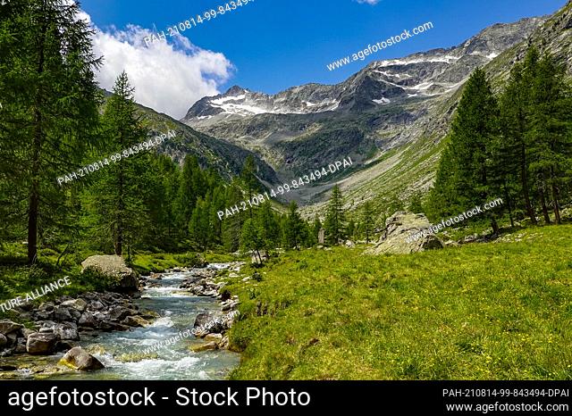 22 July 2021, Austria, Sankt Jakob: A stream in the Patscher Valley near the Patscher Hut in the Defereggen Valley in Tyrol