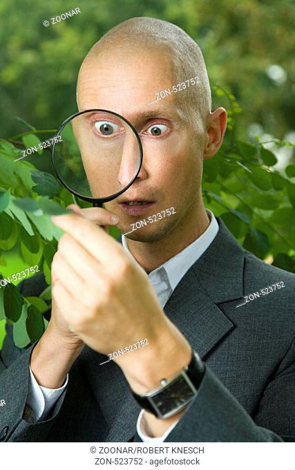 Mann im Anzug betrachtet die Blätter einer Scheinakazie Robinia pseudoacacia mit einer Lupe