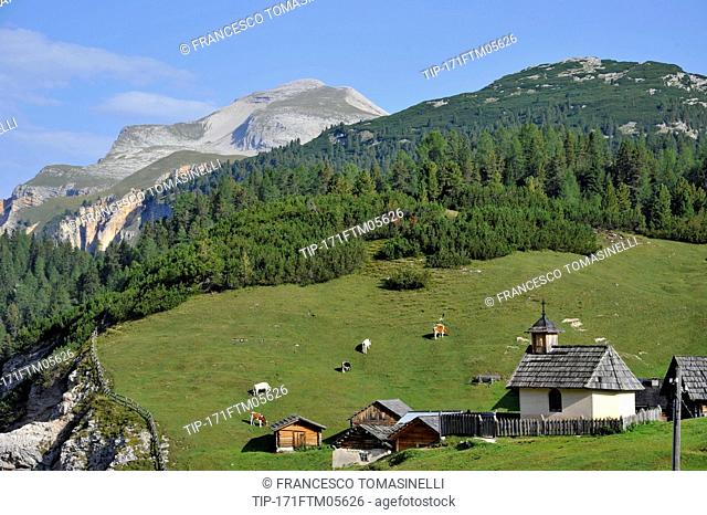 Italy, Trentino Alto Adige, Parco Naturale di Fannes Sennes Braies, Fodara Vedla village