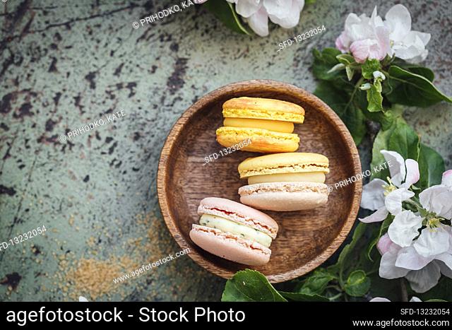 Macarons with apple tree blossoms