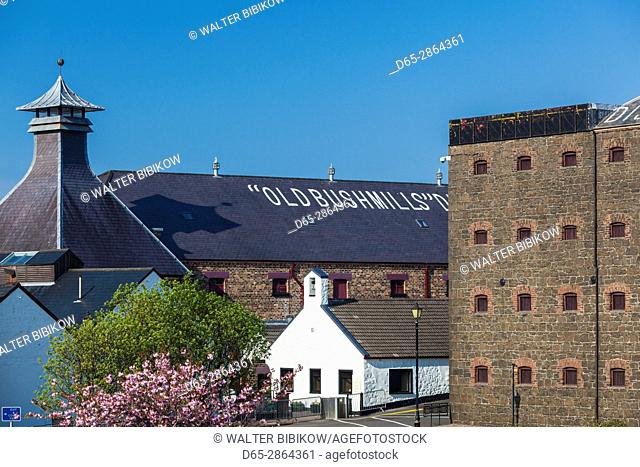 UK, Northern Ireland, County Antrim, Bushmills, Old Bushmills Distillery, world's oldest legal whiskey distillery, since 1608