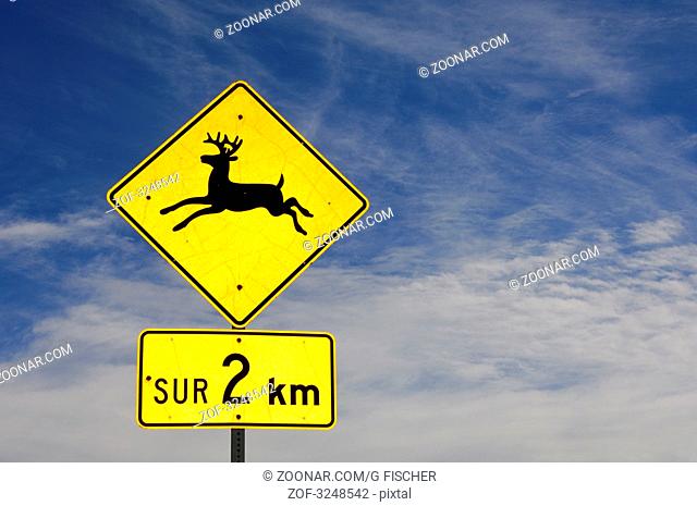 Verkehrszeichen Vorsicht Elche, Entfernungsangabe in französisch, Provinz Quebec, Kanada / Yellow and black warning sign for mooses