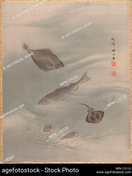 Fishes. Artist: Seki Shuko (Japanese, 1858-1915); Period: Meiji period (1868-1912); Date: ca. 1890-92; Culture: Japan; Medium: Album leaf; silk; Dimensions: 13...