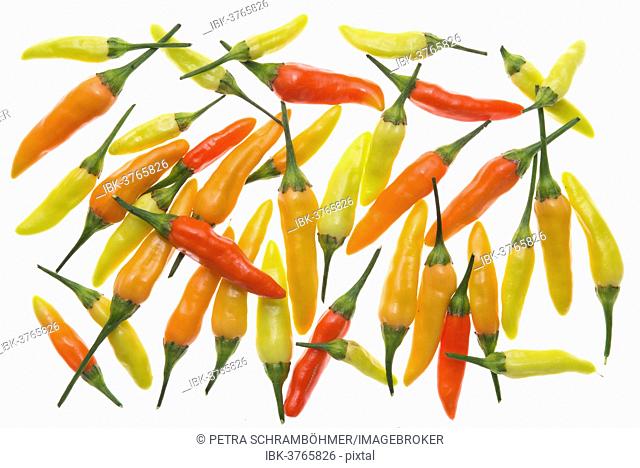 Chili peppers, various stages of ripeness, yellow, orange, red