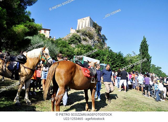 Verucchio, Romagna, Italy, Europe, fair, horse, animal, Fira di Quatorg, Fiera di Santa Croce, tourism, travel, color, color image, horizontal
