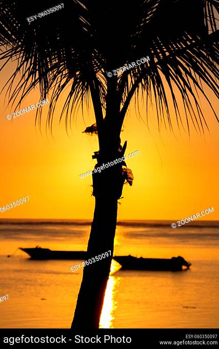 Palme und Fischerboote vor dem Sonnenuntergang in Le Morne, Mauritius, Afrika. Palm tree and fishing boats at sunset in Le Morne in Mauritius, Africa